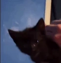 hello emote