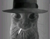 Cattenheimer emote