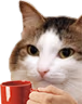 kiisu_coffee emote