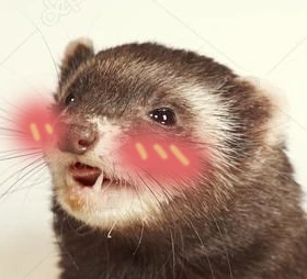ferretoblush emote