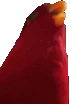 wuewuewue emote