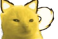 walorp emote