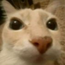 apoco static emote