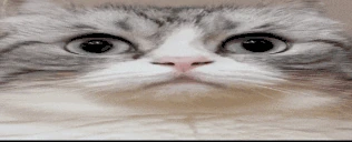 0_0 emote