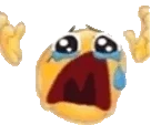 NOOOO emote
