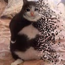 CE_sadchonkyfading emote