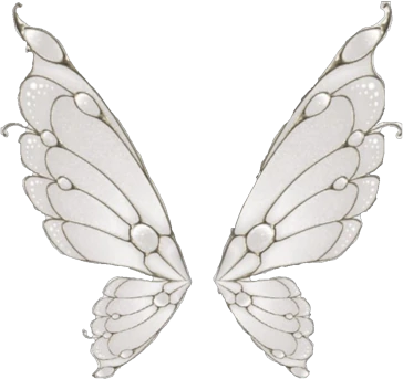 wet_butterfly emote