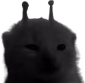blaorp emote