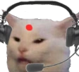 indian_IT_cat emote
