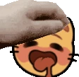 pet_Catgasm emote