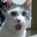 CE_Shock emoji