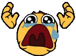 NOOOO emote