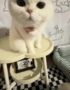 REBYATAkiss emote