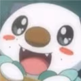 oshawott_amazed emote
