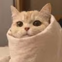 purrito emote