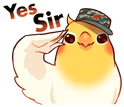 birbyessir emote