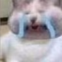 iiiiiii emote