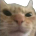 frown static emote