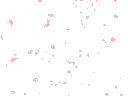 CherryBlossomPetals emoji