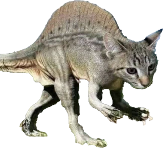 cat emote