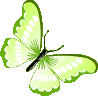 lime_green_butterfly animated emote