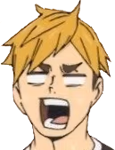 HQAtsumu emote