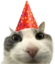 PartyCat emote