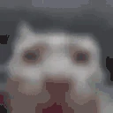 SERIOUSLYICANTTAKEITANYMOREIAMGOINGINSANE emote
