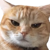 lilyAngry emote