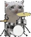 catDrum emote