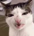 crunchy emote