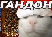 GANDON emote