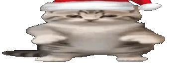 dans emote