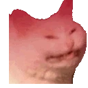 cattorage emote