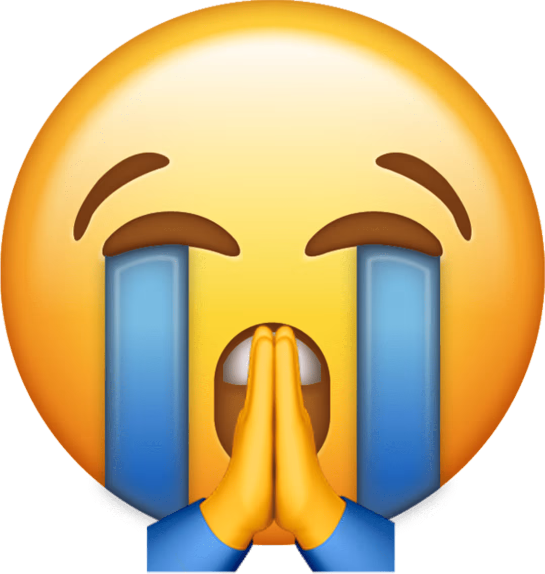 CryingPray emote