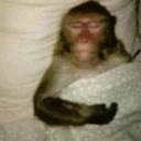 mimir emote