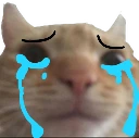 cry emote