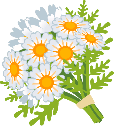 daisybouqet emote