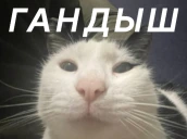 GANDblSH static emote
