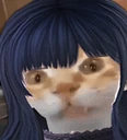 Gaierm emote
