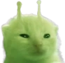 glorp emote