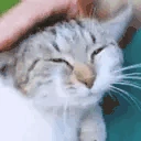 ManyPats emote