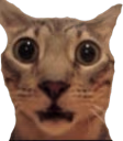 AYCABRON emote