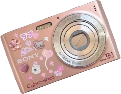 Pink_Camera emote