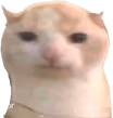 chubby emote