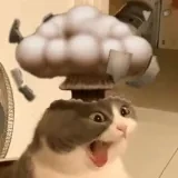 WHATDAHELL emote