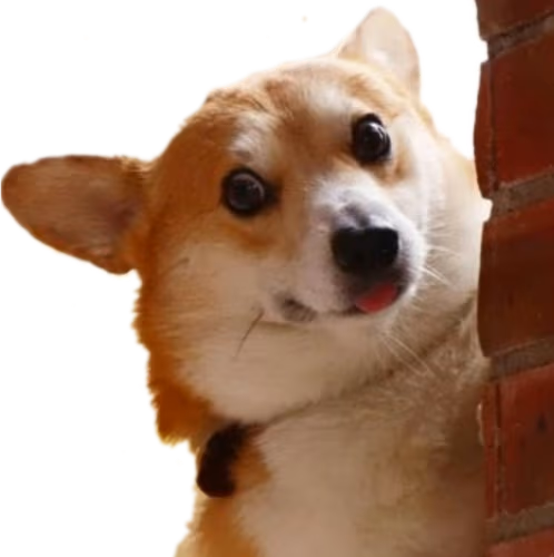 DogLurk emote