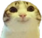 hihi emote