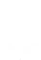 nitroboost emote