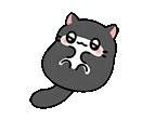 CatBelly emote